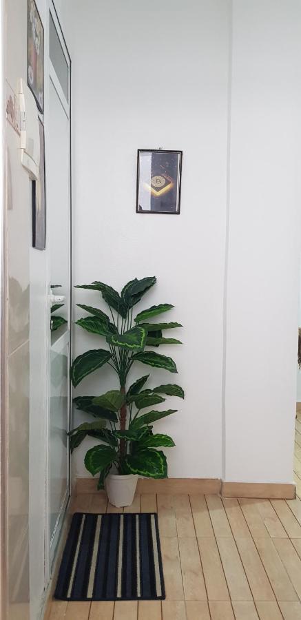 Tanjastudio 3Rd Floor, No Elevator 丹吉尔 外观 照片